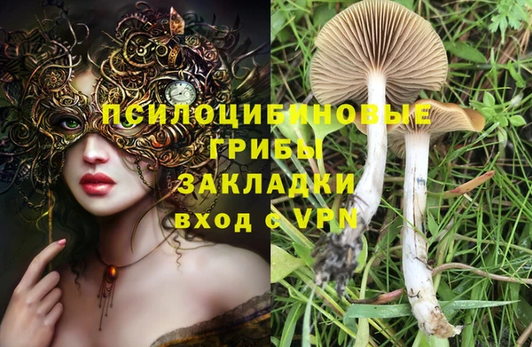 бутират Зеленокумск